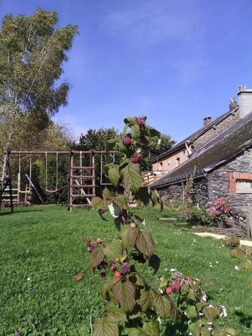 Gite Les 7 Frenes Vaux-sur-Sure Exterior foto